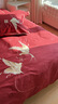 木魚(yú)笙笙新中式婚房丨紅色結婚四件套純棉長(cháng)絨棉輕奢刺繡婚慶新婚陪嫁床品 喜上眉梢 【精致紅色禮盒】 1.5m/1.8m 床單款 被套200x230cm 曬單實(shí)拍圖