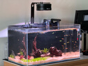 森森 超白玻璃小魚缸HWK-600P裸缸款水草缸金魚缸小型水族箱水草缸  曬單實(shí)拍圖