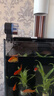 森森（SUNSUN）森森魚(yú)缸喂食器自動(dòng)投食器錦鯉金魚(yú)水族箱智能定時(shí)喂魚(yú)器 智能定時(shí)喂食器+單食盒 曬單實(shí)拍圖