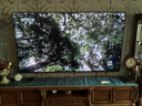 索尼（SONY）KD-85X85K 85英寸 4K HDR 全面屏智能電視 廣色域 120Hz 客廳巨幕 曬單實拍圖