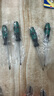 綠林（GREENER）螺絲刀3x100mm十一字工業(yè)級強磁螺絲批工具家用套裝超硬改錐大全 曬單實拍圖