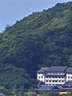 東部工品補(bǔ)胎膠釘神器電動(dòng)車輪胎蘑菇釘汽車摩托車車胎真空胎應(yīng)急修補(bǔ)工具 曬單實(shí)拍圖
