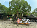 迪士尼（DISNEY）【柏林之聲| 頂配性能】聯(lián)名藍(lán)牙耳機(jī)真無線開放式掛耳運(yùn)動降噪耳夾骨傳導(dǎo)概念游戲適用小米蘋果 QS-T53米色【空間音效】 曬單實(shí)拍圖