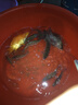 劉志強(qiáng)餌料釣魚魚餌全能香魚餌料野釣鯽魚專用鯉魚釣魚餌料 全能香350g 曬單實(shí)拍圖