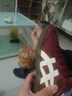 Onitsuka Tiger鬼塚虎TOKUTEN秋冬新款男女休閑舒適時(shí)尚德訓鞋 酒紅色 38 曬單實(shí)拍圖