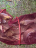 進(jìn)口魚(yú)鉤魚(yú)線(xiàn)釣魚(yú)鉤純手工精綁子線(xiàn)雙鉤金袖鉤金海夕成品鉤子袖鉤 總長(cháng)45金袖有刺【40付】帶子線(xiàn)盒 2號鉤+3號鉤 曬單實(shí)拍圖