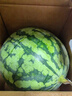 曉吸無籽麒麟瓜 4kg 曬單實(shí)拍圖