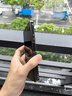 樂(lè )蔻【雙層邊框保護】三星ZFold7手機殼新款雙中軸全包保護W25心系天下標高檔商務(wù)鏡頭全包防摔保護套 【秘影黑】雙中軸全包丨鉸鏈保護丨心系天下標 三星Galaxy Z Fold7 曬單實(shí)拍圖