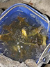 免調(diào)漂線組全套伊勢(shì)尼立漂高靈敏主線組野釣鯽魚(yú)綁好子線雙鉤套裝 2卷線+日夜漂各一支+1節(jié)電+線盒 3.6米3.0主線+2.5子線+7號(hào)伊豆鉤 曬單實(shí)拍圖