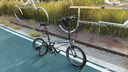 大行（DAHON）折疊自行車20英寸8級(jí)變速經(jīng)典P8單車KBC083 消光灰高配款-京倉(cāng) 曬單實(shí)拍圖