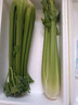 鹿凌青【順豐】正宗山東西芹去葉榨汁芹菜水果西芹西洋芹菜綠香芹 【榨汁西芹】?jì)糁?斤精選 【順豐發(fā)貨】 曬單實(shí)拍圖