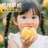秦悅仙果鮮山東蒙陰黃桃【已通過質(zhì)檢】黃金毛桃高甜度桃子禮盒端午節(jié)送禮 【品質(zhì)毛桃5斤】單果120g+凈4.5 曬單實拍圖