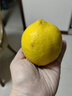 京鮮生 安岳黃檸檬12粒 單果100g+ 生鮮水果 源頭直發(fā)包郵 曬單實拍圖
