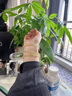 百洛奇巴西凈體天然黃水晶手鏈108顆佛珠多圈錢(qián)袋子配飾女禮物 珠子6mm四圈108顆 曬單實(shí)拍圖