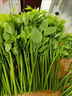 趣果邦順豐包郵新鮮樹(shù)仔菜天綠香海南五指山野菜特色蔬菜私房菜產(chǎn)地直銷(xiāo)1斤裝【泡沫箱冰箱保鮮發(fā)貨】 曬單實(shí)拍圖