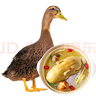 華英（HUAYING） 贛南散養(yǎng)生態(tài)麻鴨2.5斤/袋冷凍整鴨新鮮土鴨煲湯紅燒食材 曬單實(shí)拍圖