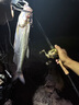 NICEFISH重劍二代路亞竿超遠(yuǎn)投竿翹嘴海鱸桿槍柄直柄輕量化魚竿淡海水泛用 2.28m C762MH+【重劍二代】 曬單實(shí)拍圖