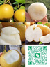 PYRA MID SUN卡式爐氣罐瓦斯氣防爆燃?xì)夤迲敉庖安蜖t氣噴槍專用氣罐220g*8罐 曬單實拍圖
