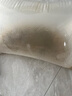 螺絲青魚苗大快型草魚苗鯽魚苗四大家魚苗養(yǎng)殖黑皖活體魚苗包活的 10條 螺螄青9-11厘米1條防損 曬單實拍圖