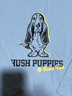 暇步士（Hush Puppies）【天絲系列】童裝兒童男女大童秋款彈力舒適柔軟經(jīng)典長(zhǎng)袖襯衫 冰晶藍(lán) 120 曬單實(shí)拍圖