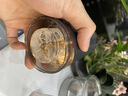 煦凜德國品牌滅蚊燈家用驅蚊神器驅蚊器電熱蚊香無(wú)味母嬰無(wú)味臥室定時(shí) 金屬灰【智能定時(shí)+全屋無(wú)蚊】 旗艦版充電款【1機器+1驅蚊液】 曬單實(shí)拍圖