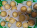 25年頭茬云南特產(chǎn)石林人參果黃皮黃心新鮮應(yīng)季孕婦低糖水果 3 斤精選 小果 曬單實拍圖