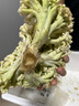 【順豐】有機花菜 白菜花無農殘健康有機蔬菜 3斤 曬單實拍圖