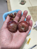 新鮮現摘紅心三華李大果酸脆多汁應季水果果園直發(fā)送椒鹽紅肉李 5斤 大果 曬單實(shí)拍圖