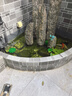 森森（SUNSUN）小魚池過(guò)濾系統(tǒng)水循環(huán)凈化器外置過(guò)濾器庭院陽(yáng)臺(tái)魚池過(guò)濾桶 升級(jí)款兩噸水內(nèi)套餐 曬單實(shí)拍圖