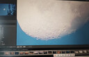 LR2025手機(jī)版Adobe lightroom正版軟件mac蘋果電腦版Windows安卓iPad LR2025 windows電腦版 曬單實(shí)拍圖