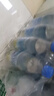 九芝堂益生菌20000億3盒調(diào)理腸胃腸道脾胃虛弱兒童成人老年人自營 曬單實拍圖