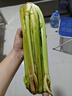 京鮮生山東新鮮大西芹凈重4.5斤榨汁現(xiàn)挖芹菜鮮嫩蔬菜 去半葉源頭直發(fā) 曬單實拍圖