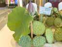 博士倫護(hù)理液美瞳隱形眼鏡護(hù)理液除蛋白保濕殺菌大小瓶藥水學(xué)生旗艦正品 潤(rùn)明120ml 曬單實(shí)拍圖