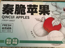 洛川蘋(píng)果25年新品秦脆瑞雪維納斯蘋(píng)果水果禮盒水果生鮮送禮陜西延安特產(chǎn) 秦脆 6枚大果 鑒賞級 禮盒裝 曬單實(shí)拍圖
