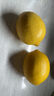 優(yōu)味集進(jìn)口新奇士檸檬【JD順豐現(xiàn)貨速發(fā)】新鮮黃檸檬生鮮水果整箱包郵 1500g凈重裝（商超精品） 商超A+級(jí)單果120-150g 曬單實(shí)拍圖