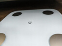 米家（MIJIA）小米智能體脂秤S400 藍(lán)色 雙接家用電子秤體重秤高精準(zhǔn)25項(xiàng)身體數(shù)據(jù)平衡測試 塑形減脂 體重管理 曬單實(shí)拍圖