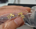 周六福星星黃金耳釘女足金999耳飾計價A0913848 一對 約1.48g生日禮物 曬單實拍圖