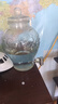 白水杜康 甄藏名釀老酒 濃香型白酒 52度 桶裝純糧食泡果酒藥酒散裝酒5L 曬單實拍圖