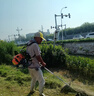 東成汽油割草機(jī)FF03-BG431四沖程大功率除草機(jī)打草機(jī)背負(fù)式割草機(jī) 曬單實(shí)拍圖