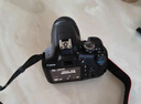 佳能（Canon）EOS 2000D+18-55mm IS II 套機 單反相機鏡頭套機 APS-C畫幅 高清數(shù)碼照相機 2000D 曬單實拍圖