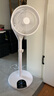 愛麗思（IRIS） 愛麗思空氣循環(huán)扇落地扇電風(fēng)扇遙控家用電扇空調(diào)扇 LFD-22T（12擋 360度多方位搖頭 力薦） 曬單實(shí)拍圖