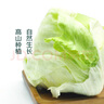 【高原夏菜】球生菜約500g 曬單實(shí)拍圖
