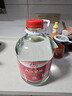 九江雙蒸浸泡酒米酒純糧釀造米香白酒5.1L泡青梅泡藥材酒高度浸泡酒玻璃瓶 38度 5.1L 1桶 曬單實拍圖