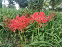 KPEP【專業(yè)運(yùn)動(dòng)】GPS五星雙頻定位戶外跑步專業(yè)游泳騎行登山心率配速血氧監(jiān)測(cè)運(yùn)動(dòng)軌跡智能運(yùn)動(dòng)手表 曬單實(shí)拍圖