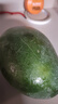 正宗凱特芒果 肉厚甜心芒熱帶當(dāng)季新鮮水果整箱 帶箱2斤單果300g+ 曬單實拍圖