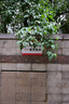尼康（Nikon） 尼克爾 Z DX 24mm f/1.7 DX格式半畫幅定焦鏡頭 微單相機(jī)適用 曬單實(shí)拍圖
