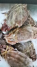 舟山梭子蟹鮮活特大野生大螃蟹新鮮冷凍海鮮水產(chǎn)海蟹飛蟹白蟹順豐 3-5兩/只【3斤 當(dāng)季船供】 曬單實拍圖