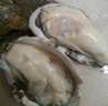 【本味海鮮】一大盆逍遙生蠔鍋1kg 曬單實(shí)拍圖