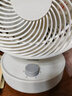 康佳（KONKA）空氣循環(huán)扇家用風(fēng)扇臺式電風(fēng)扇輕音節(jié)能渦輪對流換氣扇搖頭電扇交流定頻小風(fēng)扇空調(diào)伴侶KF-XH2012S 曬單實拍圖