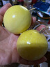 禾桂堂 廣西欽蜜9號黃金百香果特大新鮮水果當季 白香果原果漿整箱包郵 凈重4.5斤 【特大果裝】單果70-90g丨店長力薦 曬單實拍圖